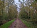RF de la Chèvrerie, forêt de Seillon